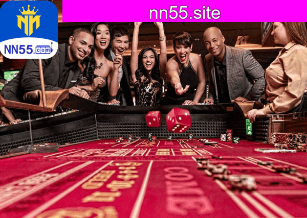 NN55